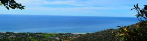 Views Over Malibu